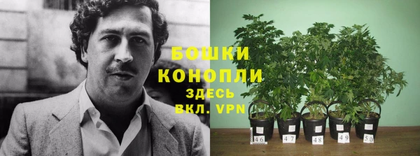каннабис Костерёво