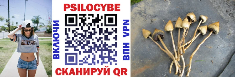 Псилоцибиновые грибы Psilocybine cubensis  Кириши 
