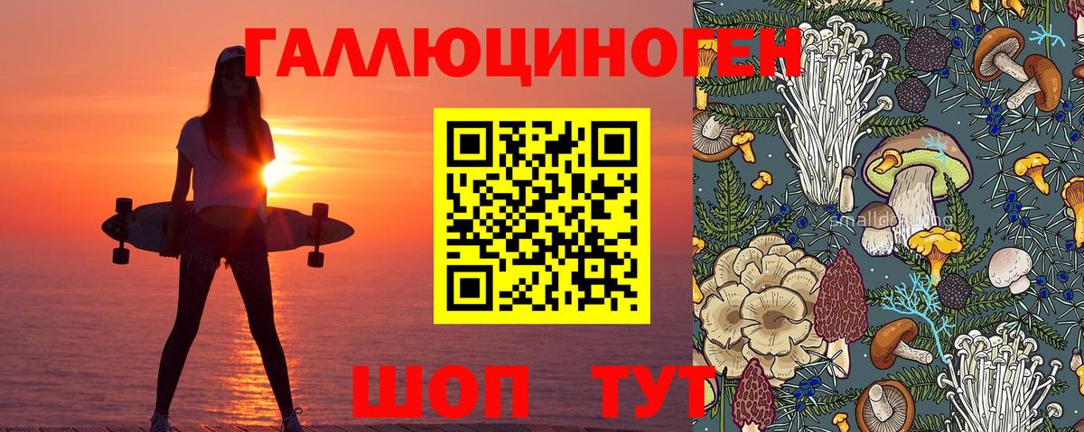 Галлюциногенные грибы прущие грибы Кириши